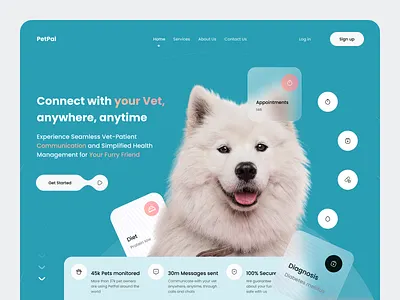PetPal Service for vets and pets - Landing page/hero ui branding clean design glassmorphism healthcare hero hero banner landing landing page pet service ui ui design website