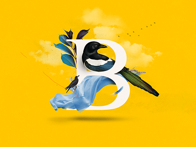 B - Bird 36daysoftype b bird collage collage art collage digital collage maker collageart design flock graphic graphicdesign illustration letter lettering minimal modern typo yellow