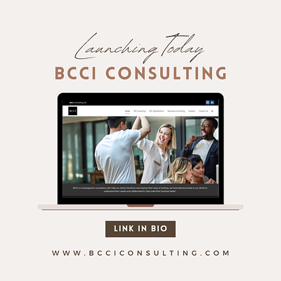 BCCI Consulting 3d animation branding design graphic design illustration landing pae logo motion graphics typography ui ux vector