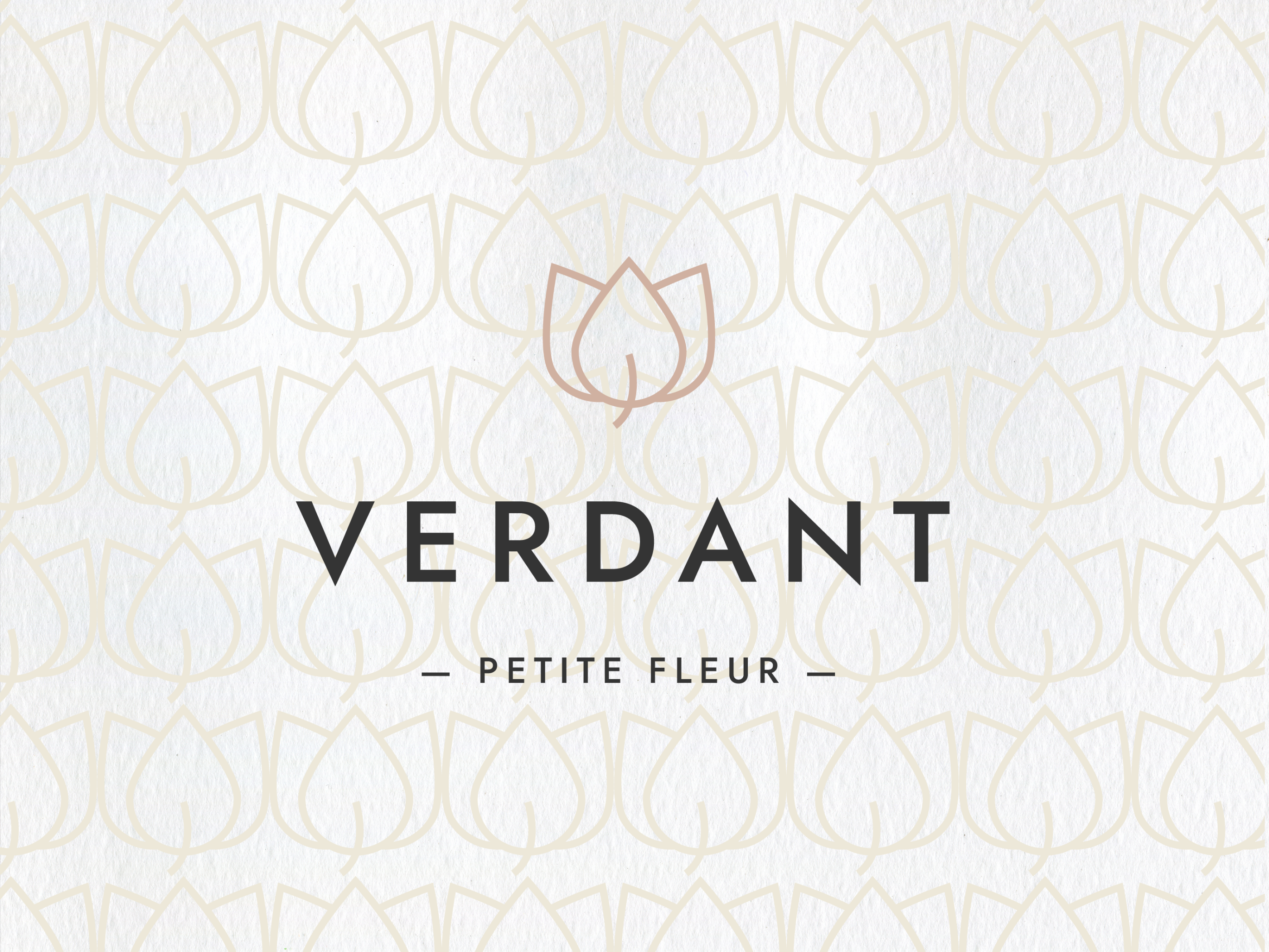 Example of Minimal Logo And Brand Design