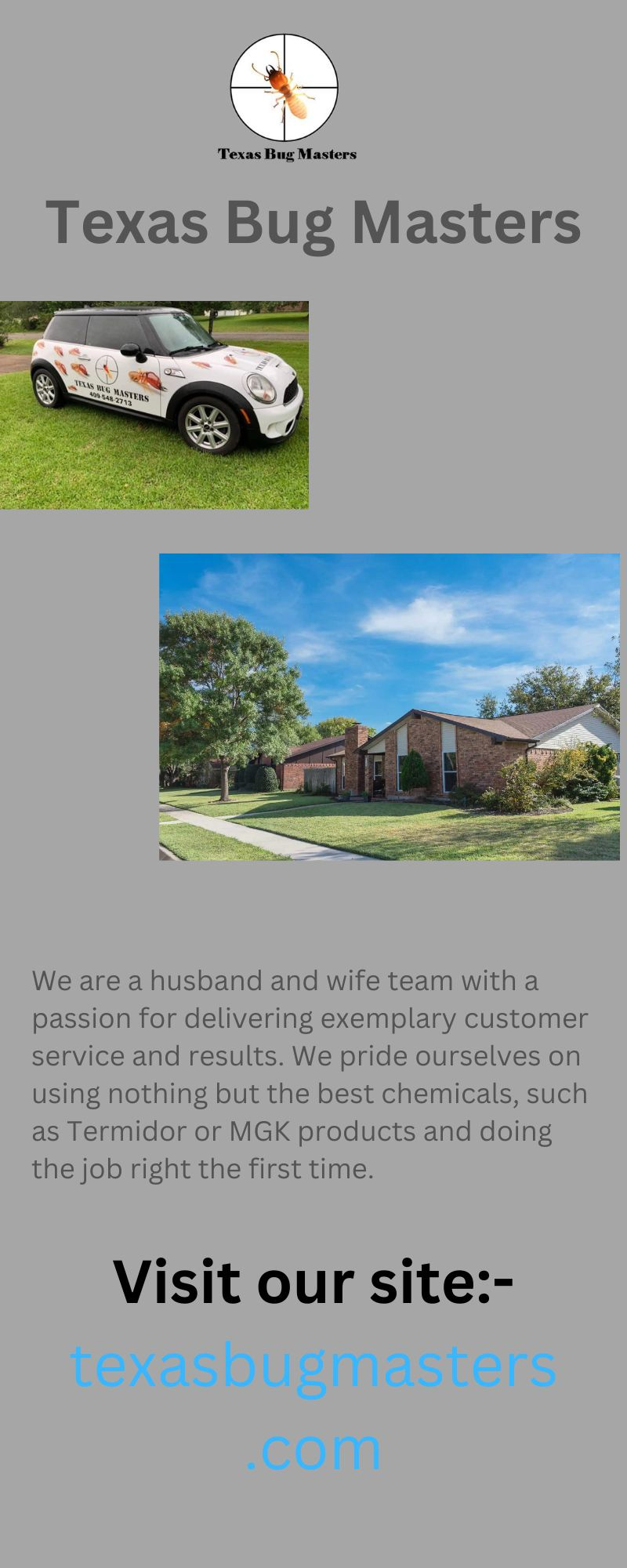 Seeking The Best Pest Control Service by Texas Bug Masters on Dribbble