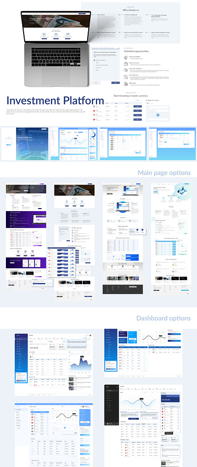 Investment platform web app design ui web webdesign webplatform website