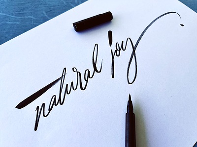 natural joy brushlettering calligraphy easy flow fun handwritting happy inspiration joy joyful lettering life process quote script sketch type zen