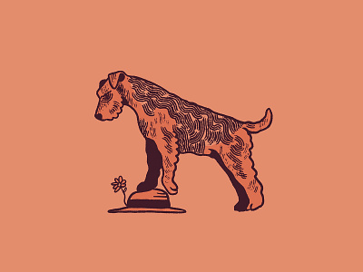 Airdale Terrier airdale branding design dog graphic design illustration logo mascot terrier