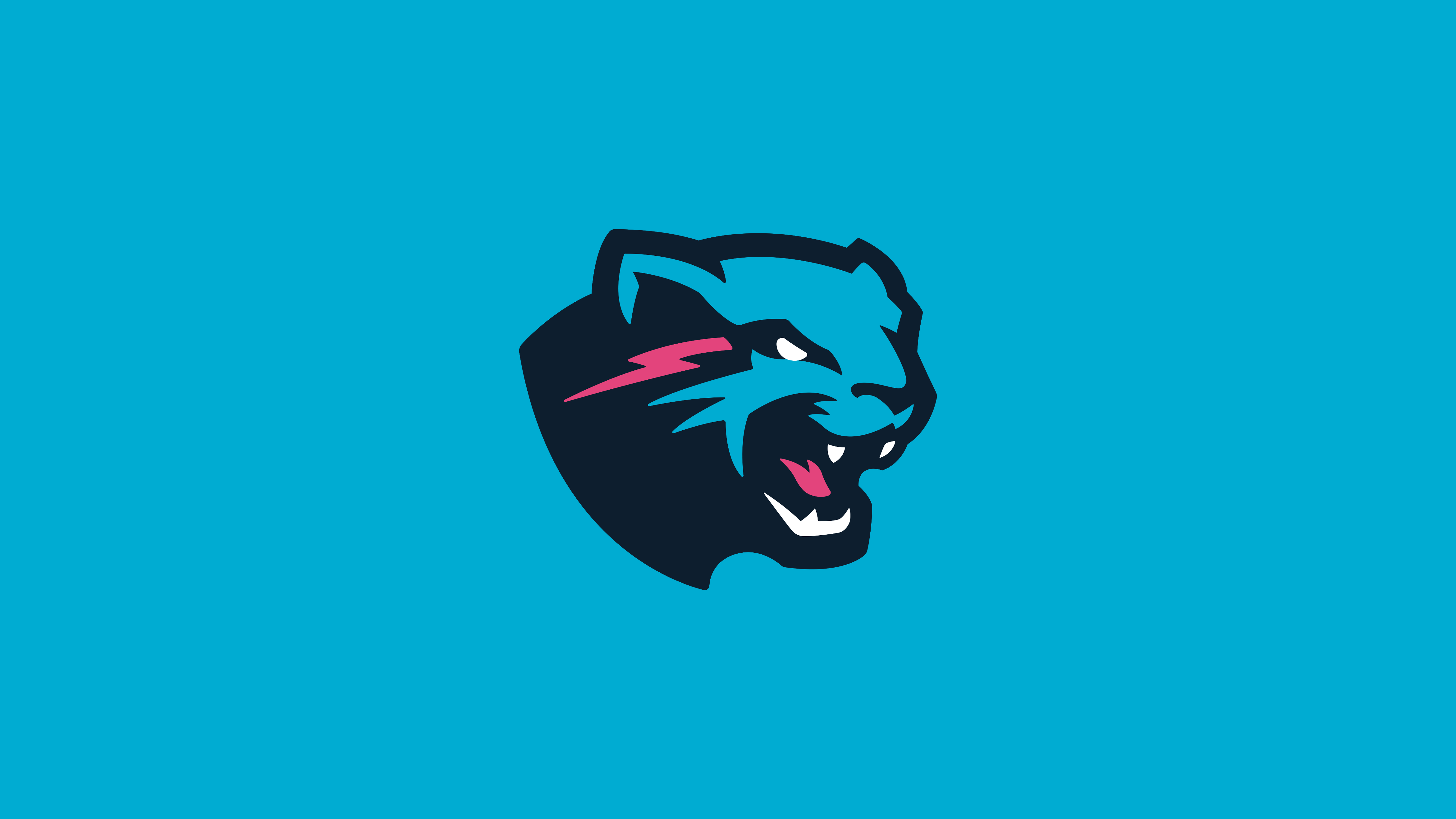 Mr Beast Logo Redesign by Koen on Dribbble