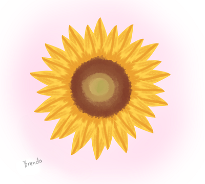 Dibujo de un girasol digital illustration