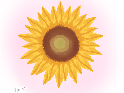 Dibujo de un girasol digital illustration