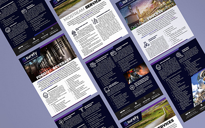 Risk Management Flyers branding design flyer graphic design layout print