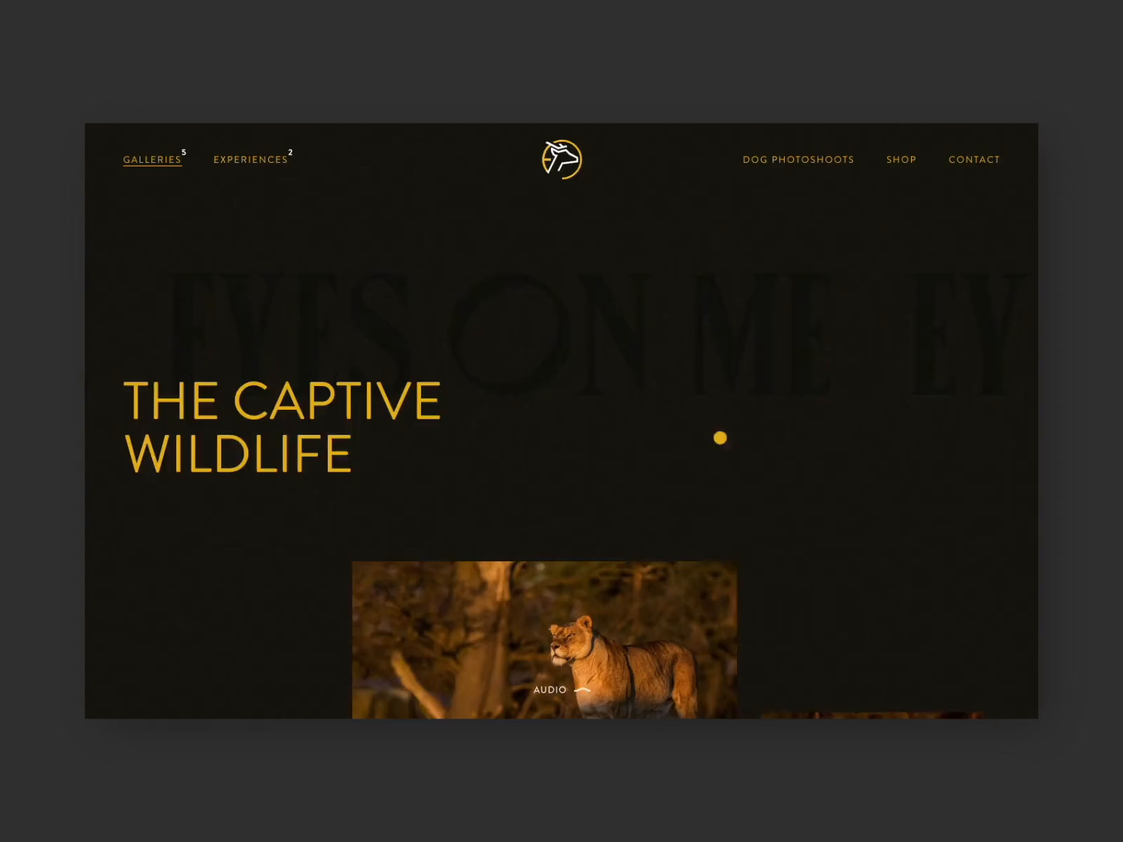 Example of Website Development (React/Nextjs)
