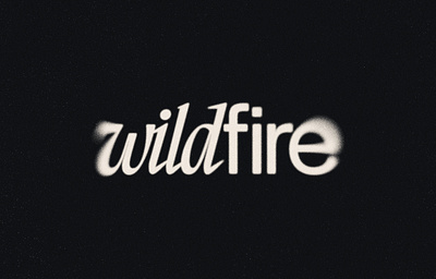 Wildfire | Brand Refresh 2023 brand branding creative design effect fire flame grain identity logo logotype mark minimal personal service simple studio texture unique wildfire