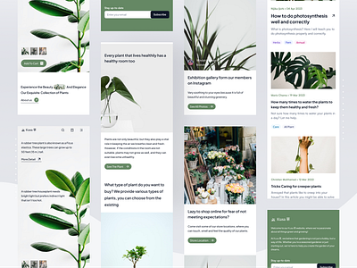 Mobile Responsive - Kusa 草 branding design garden graphic design herbal herbs landing page mobile park plant responsive ui ux website