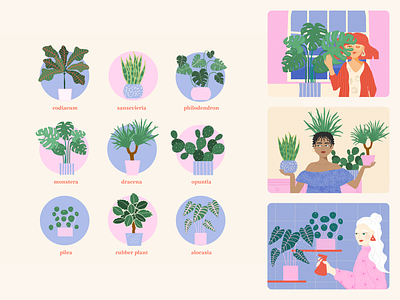 Illustration series - plant ladies alocasia character illustration design drawing girly illustration graphic design illustration kid illustration monstera nature pastel philodendron pink plant plant design plants sansevieria soft vector vector illustration