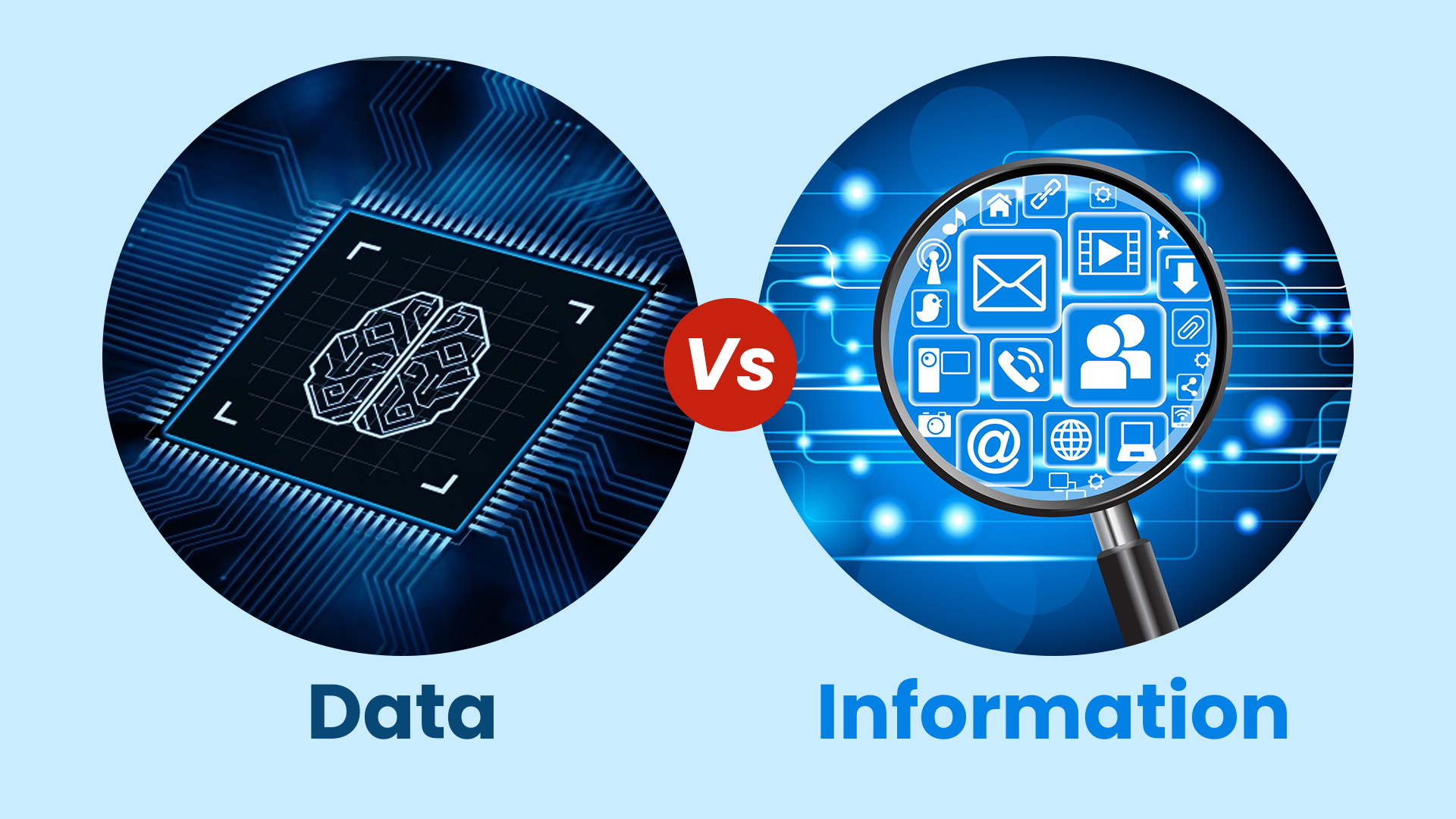 data-vs-information-the-ultimate-guide-by-canopusinfosystems-on-dribbble