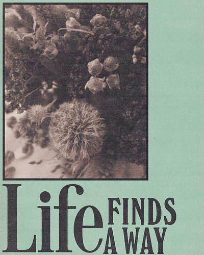 Life Finds A Way. design graphic design poster typography