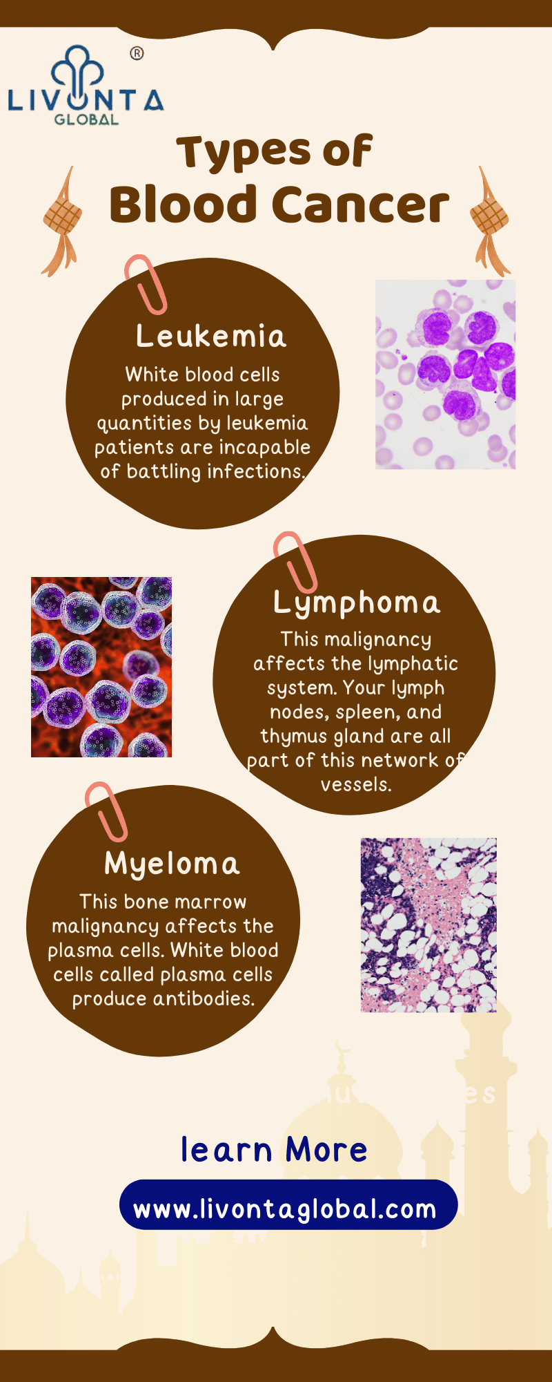 Types Of Blood Cancer By Livonta Global On Dribbble