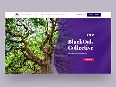 BlackOak Collective design professional upqode webdesign wordpress wordpress design wordpress development