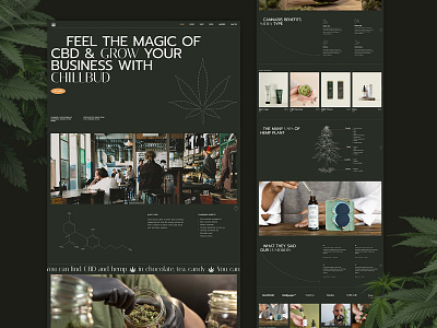 ChillBud cannabis cbd creative hemp marijuana modern shop svg theme web design website wordpress