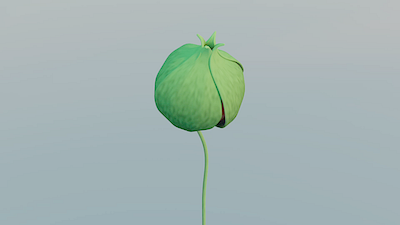 Blooming Flower Animation 3d 3d animation 3d art 3dcg animation ar art art direction augmentedreality branding cg cinema4d design graphic design illustration motion graphics redshift vr