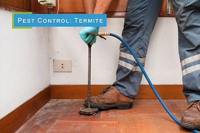 Pest Control: Termite graphic design photoshop