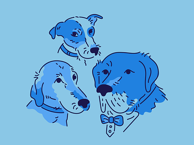 Doggos blue branding dog dogs illustration shading tonal