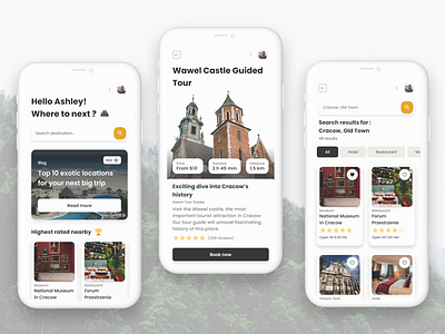 Travel Advisor App / Modern Minimal UI app design ui ux