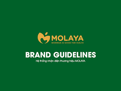 Brand Guidelines app branding design graphic design illustration logo typography vector