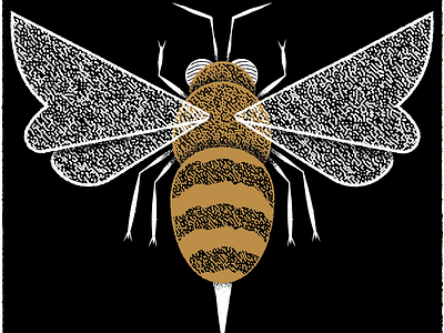 Bee bee bug editorial editorial illustration illustration insect james olstein james olstein illustration texture