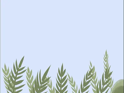 Spring 2d after effects animation illu illustration motion graphics