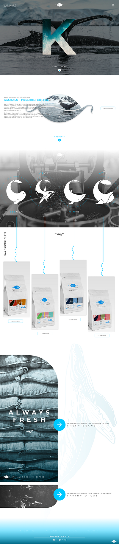 Website concept for my company coffee design kashalot ui ux uı web design website whales