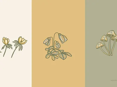 Brand illustrations for Chalk in the Park Cafe brand assets brand identity branding cafe design coffee shop design design drawing eco flower illustration flowers graphic design illustration illustrations logo mushrooms nature illustration restaurant design retro illustration sketch vintage illustration