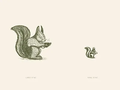 Brand identity logo design & illustration - Chalk in The Park artisan food branding brand identity branding cafe logo cafeteria logo design food place branding graphic design illustration logo retro brand identity retro illustration retro nature squirrel vintage brand idenityt vintage nature vinted design