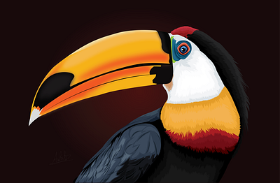 Vector Portrait Of Hornbill Bird 3d 3d vector animal animation bird branding cartoon cartoon art cartoon your self in vector design face illustration graphic design horn hornbill illustration ilustration logo motion graphics realistic ui