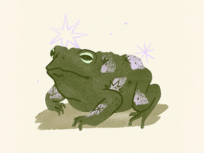 Toad Illustration animalart animalillustration digitalillustration freelance illustration freelance illustrator illustration illustrator for hire limitedpalette procreate