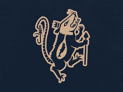 Possum Kingdom design graphic design illustration illustrator logo