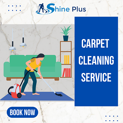 carpet cleaning services in Hatfield|carpet cleaning services in