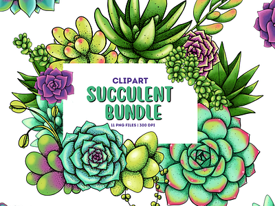 Succulent Clipart Bundle clipart design digital illustration graphic design graphic elements illustration plant art plant clipart succulent clipart