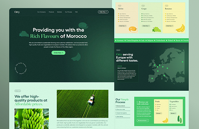 Orty - fruit and vegetable import and export company business export fruits import ui ux vegetables