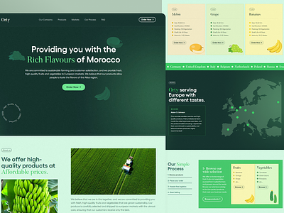 Orty - fruit and vegetable import and export company business export fruits import ui ux vegetables