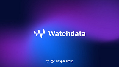 Watchdata logo bitcoin branding crypto finances fintech fintech design logo design logo system payment