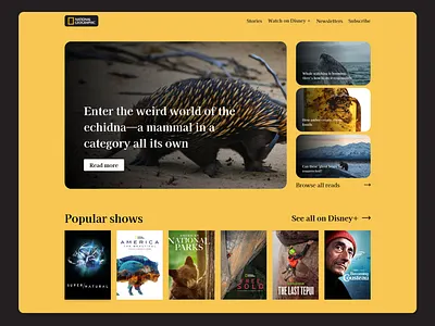 National Geographic Redesign design ui ux