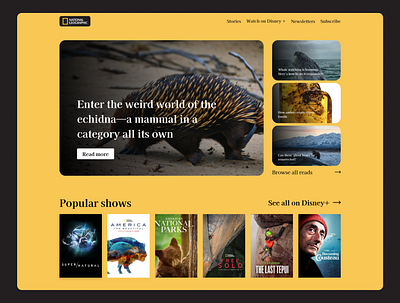 National Geographic Redesign design ui ux