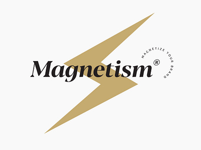 Magnetism® bolt brand brand design brand strategy branding coach coaching lightning logo logo design luxury magnet ui ux website