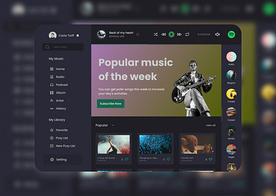 Redesign Music Web Applications music redesign ui website