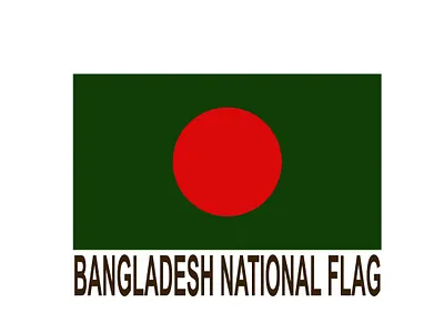 Bangladesh National Flag background remove design graphic design illustration logo vector