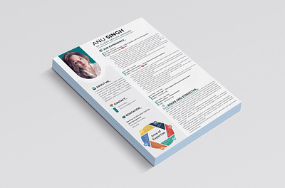 Infographic Resume Design cv design graphic design infographic design professional resume resume design