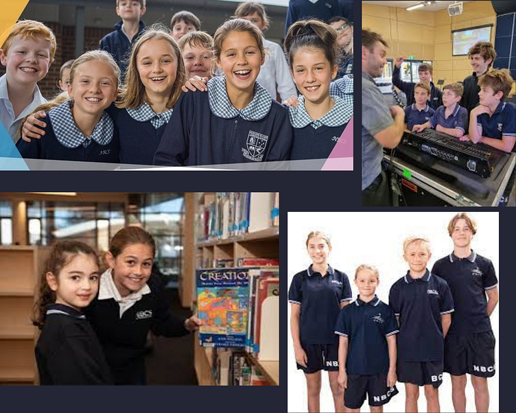 best-primary-schools-in-sydney-by-nbcs-on-dribbble