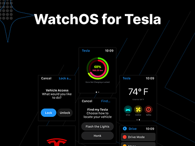 WatchOS for Tesla app design minimal typography ui ui design ux
