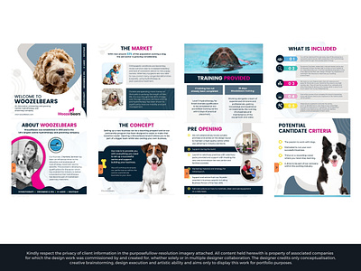 Woozelbears Pet Hydrotherapy - United Kingdom branding design graphic design illustration typography vector