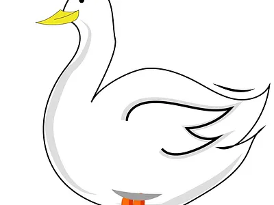 Duck adobe animation concept creative design illustration motion graphics ui ux