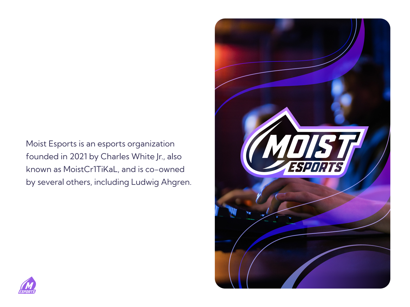 MOIST Esports Brand Concept 1 by Bogdan Olimpiyuk on Dribbble